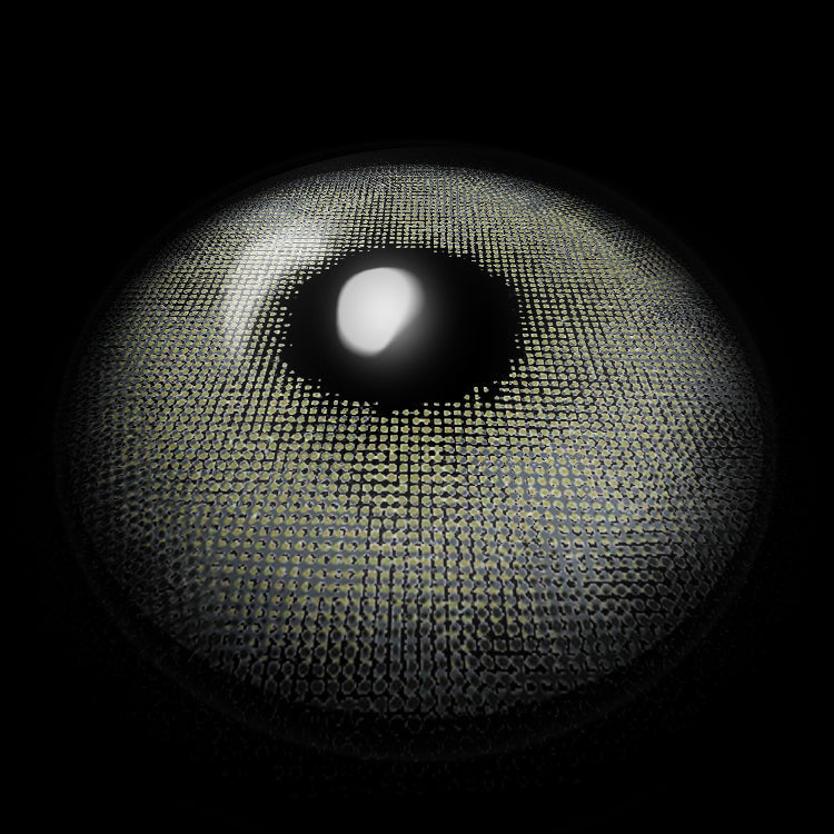 Glacier Gray | 1 Year