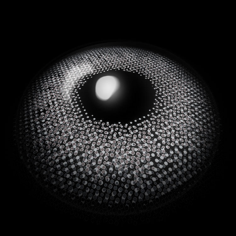 Moonbeam Gray | 6 Months