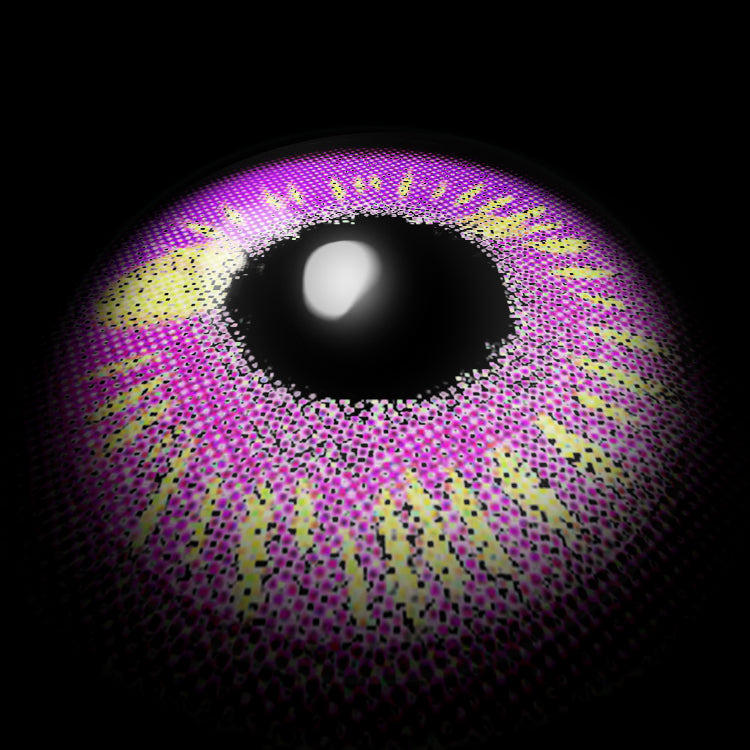 Dreamy Purple Moods | 1 Year