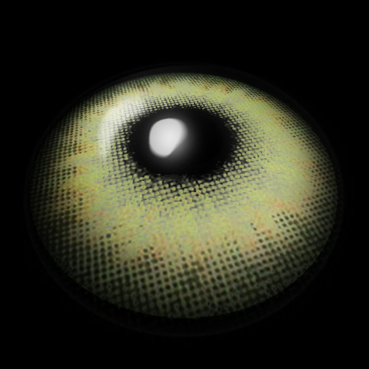 Apricity Green Ⅱ | 1 Year