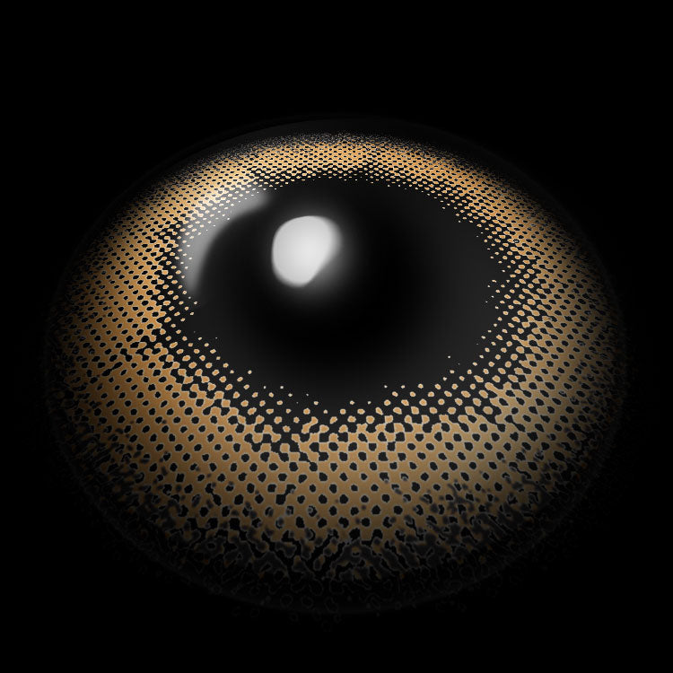 Sicilian D-Brown | 6 Months