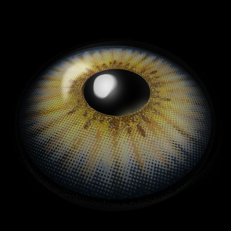 Medusa Blue | 1 Year