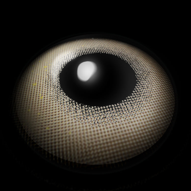 Starlight Brown | 1 Year