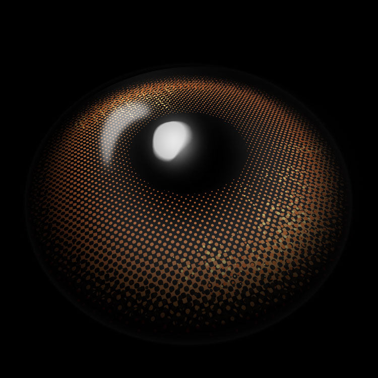 Pearl Brown | 6 Months