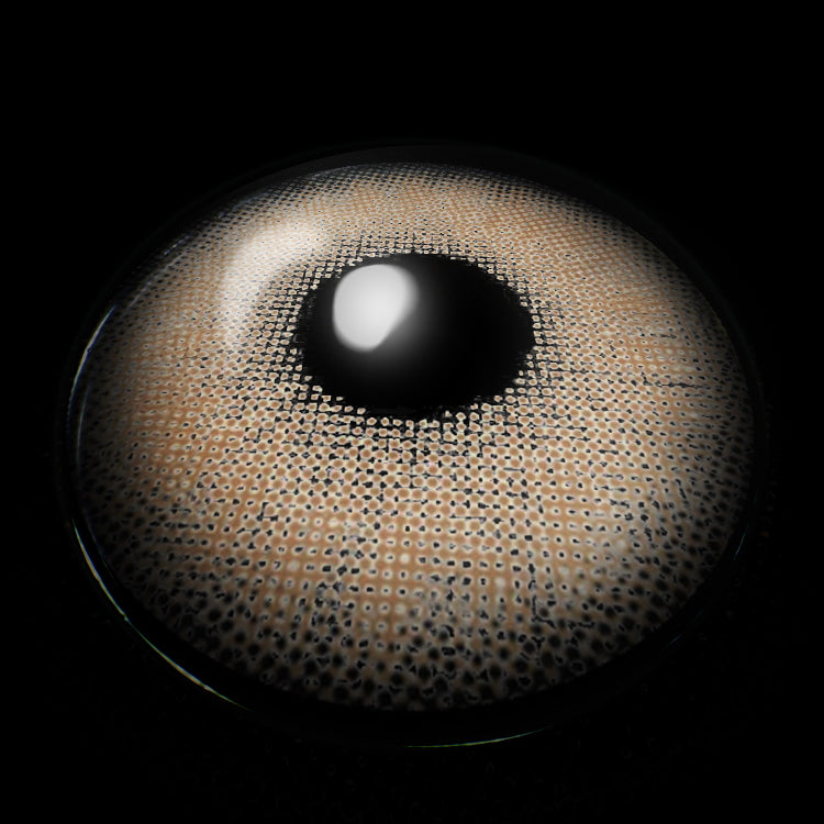 JK Hazel Ⅱ | 1 Year