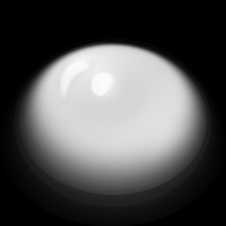 Pure White Vision | 1 Year