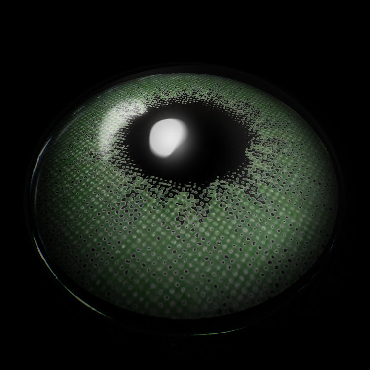 Profound Green | 6 Months