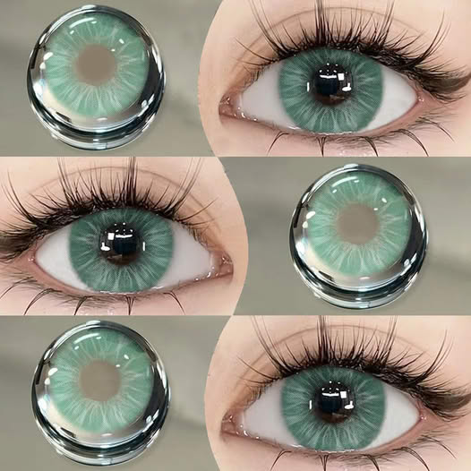 Firefly Green | 1 Year