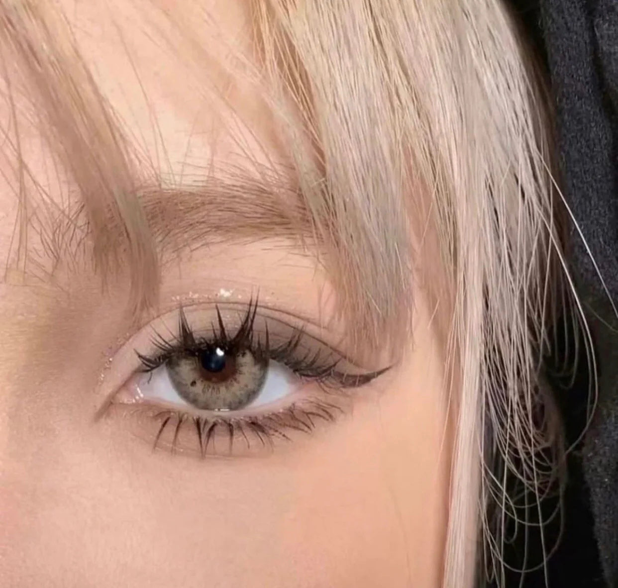 Stormy Hazel | 1 Year