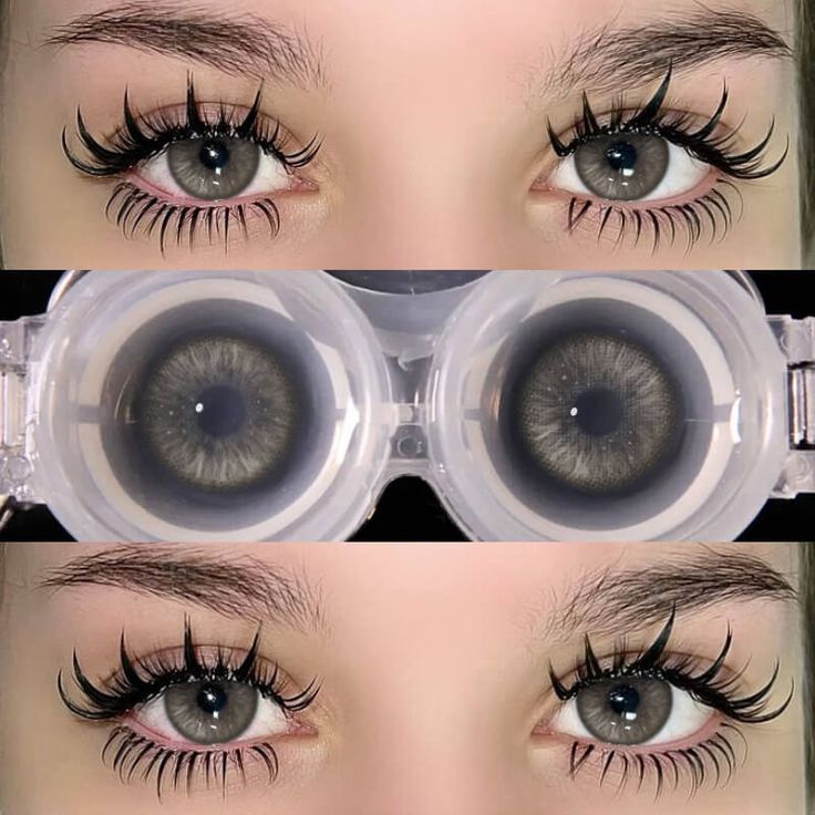 Apricity Gray | 1 Year