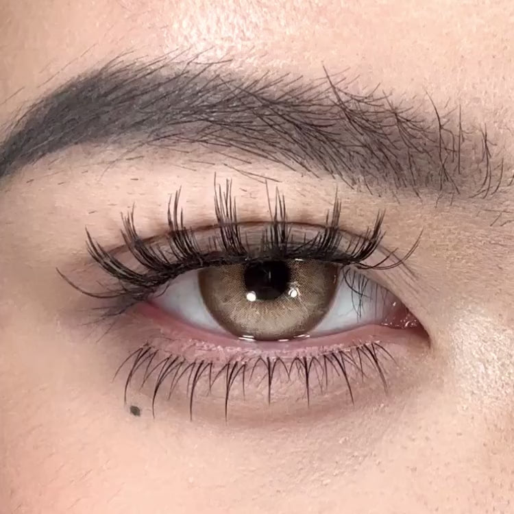 Glassball Brown | 6 Months