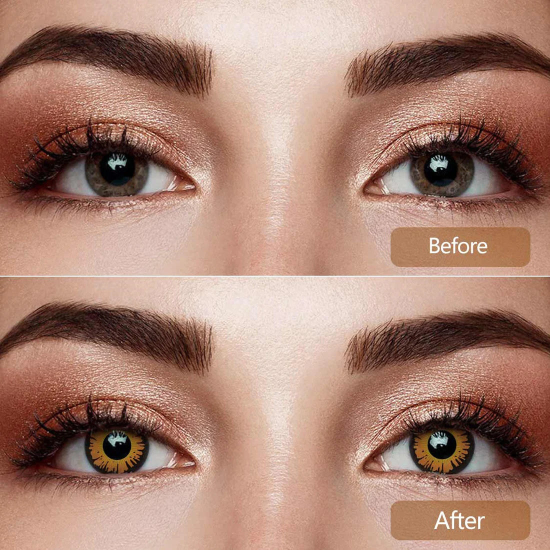 Crimson Bloom Yellow | 1 Year