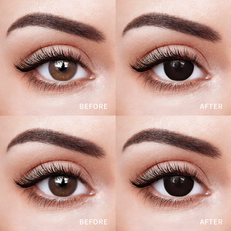 Midnight Eclipse | 1 Year