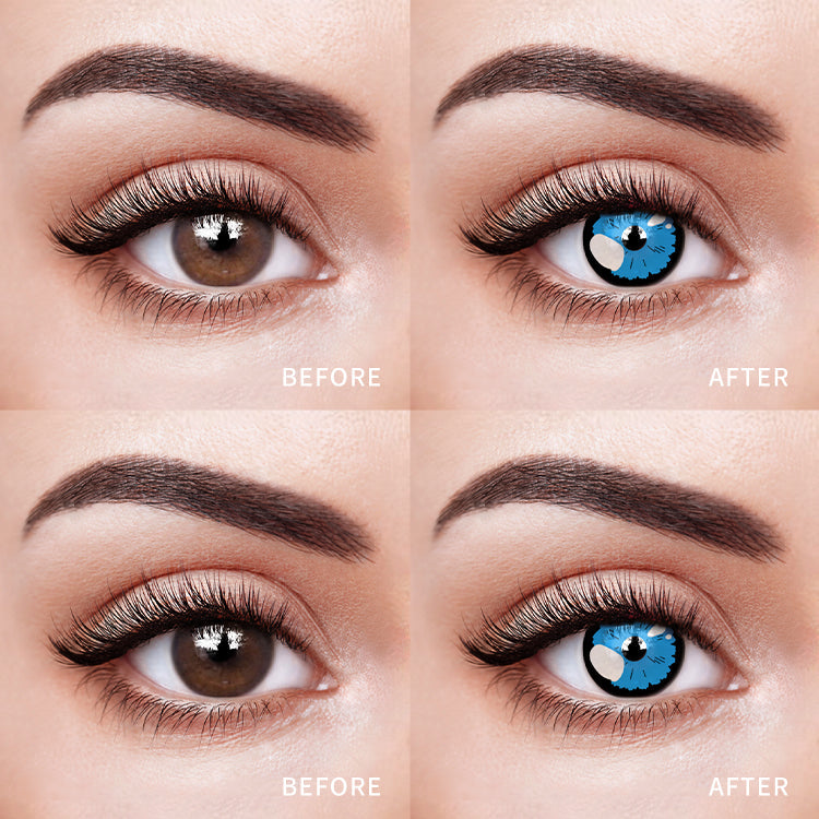 Sunlit Floral Eclipse Blue | 1 Year