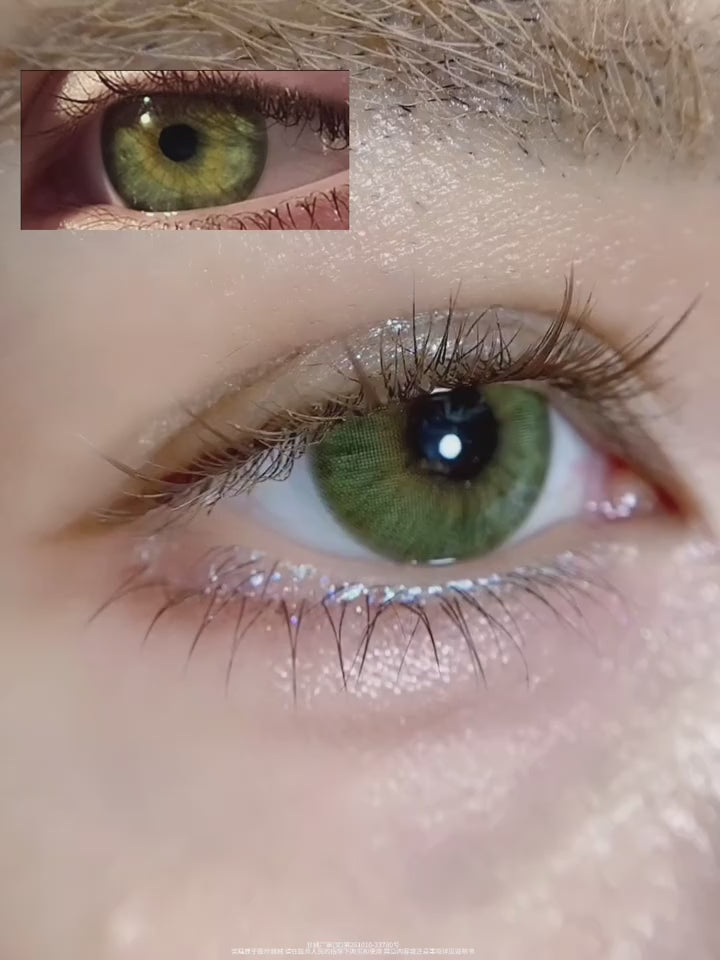 Seattle Green | 1 Year