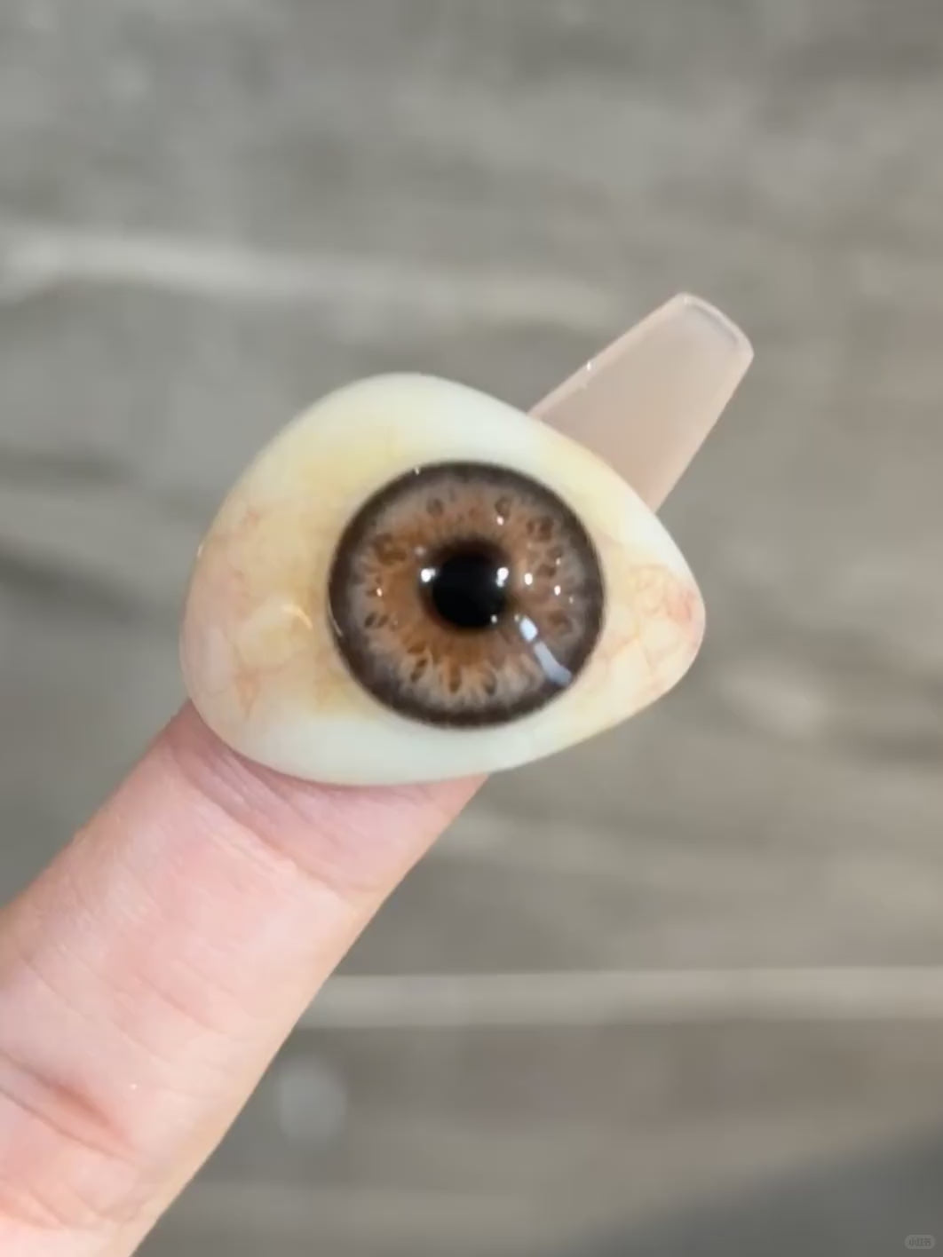 Cookie Brown | 1 Year