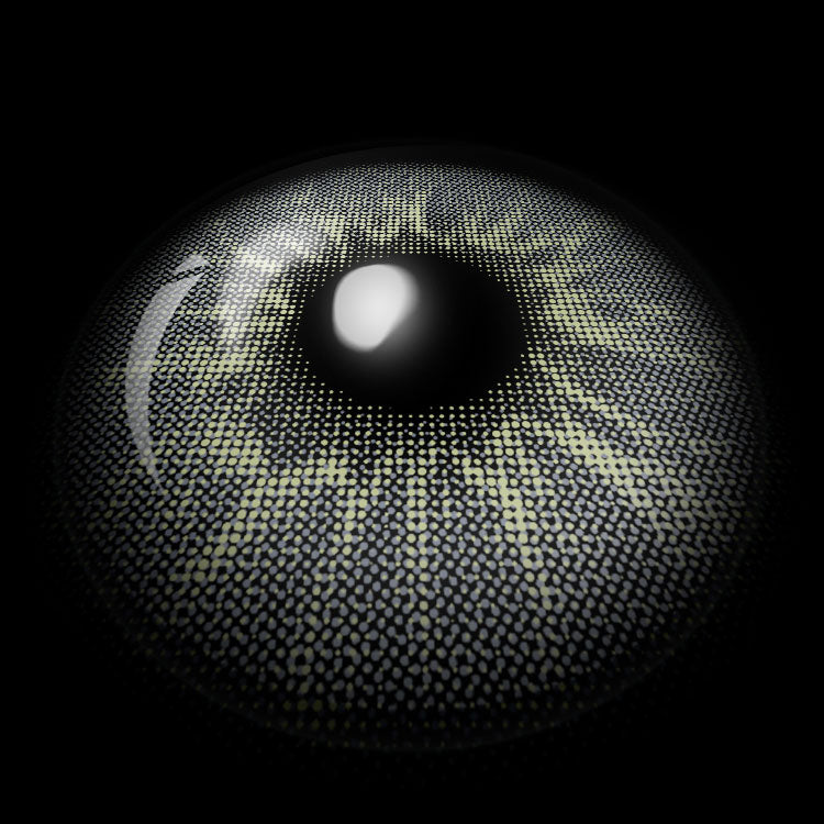 Moonlit Spark Gray | 6 Months