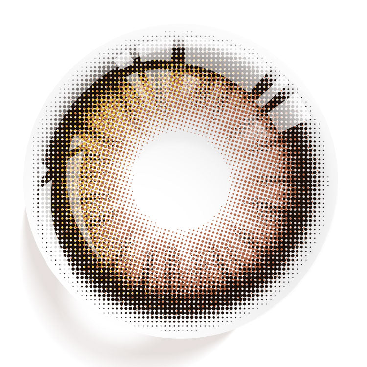 Terra Focus Brown | 6 Months