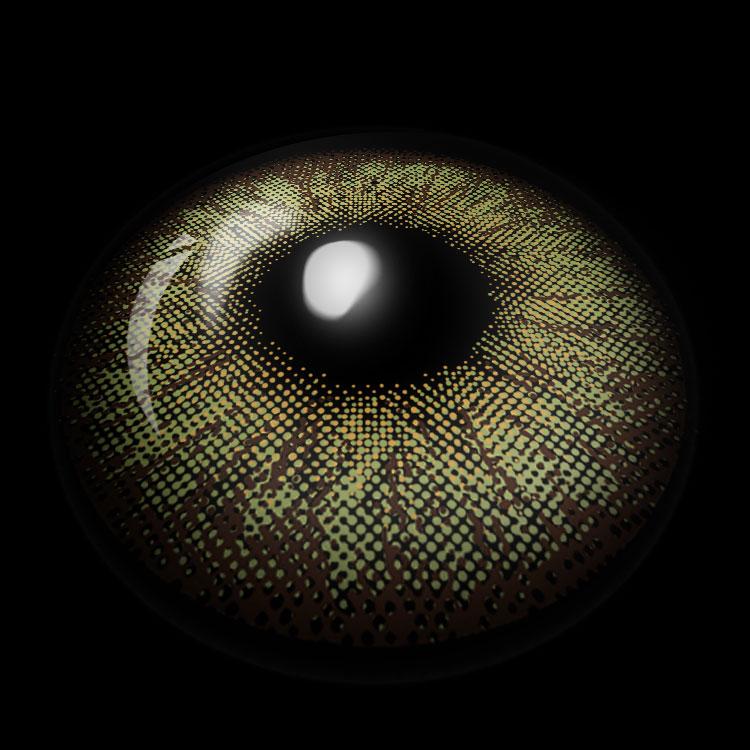 Clay Brown | 6 Months