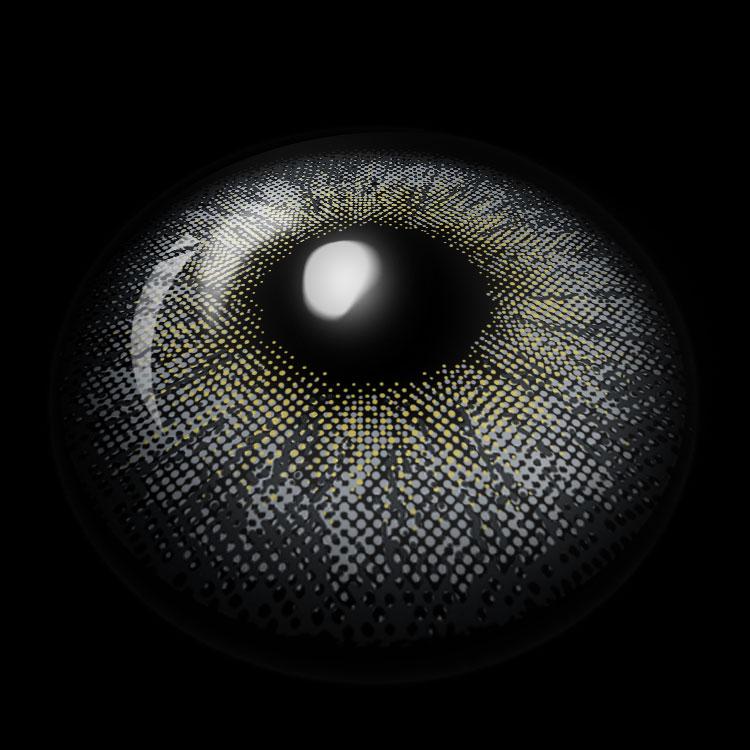 Clay Gray | 6 Months