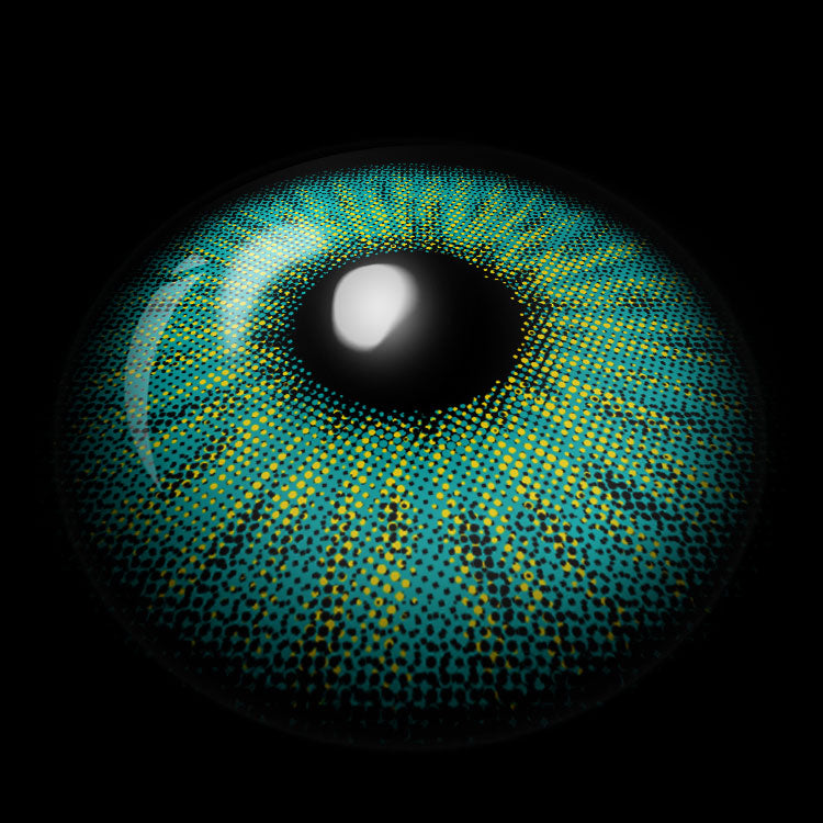 Forest Spark Green | 6 Months