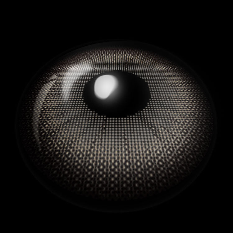 Latte Line Brown | 6 Months