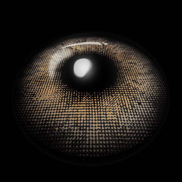 Everlight Brown | 6 Months