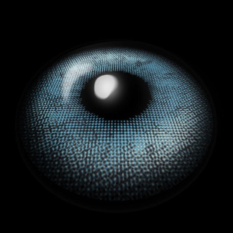 Sea Whisper Blue | 6 Months