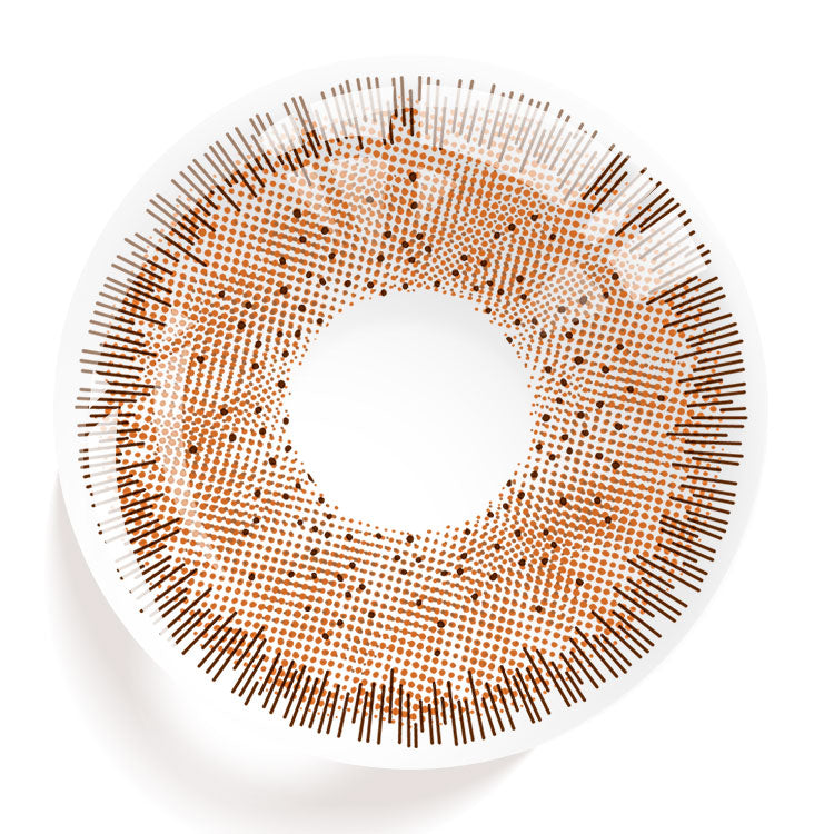 Rooted Ember Brown | 6 Months