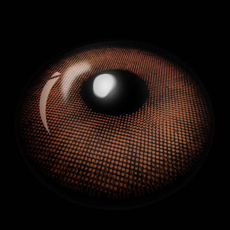 Rooted Ember Brown | 6 Months