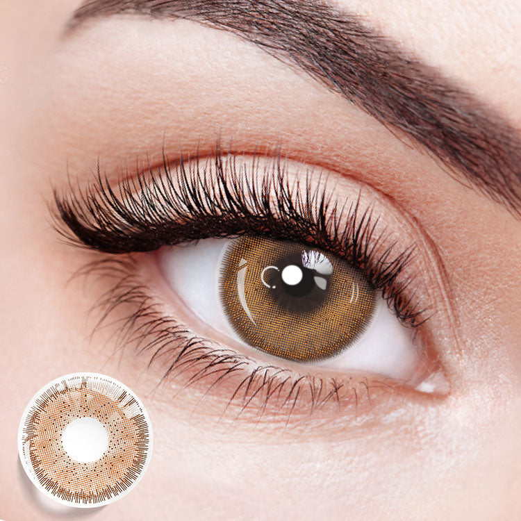 Rooted Ember Brown | 6 Months