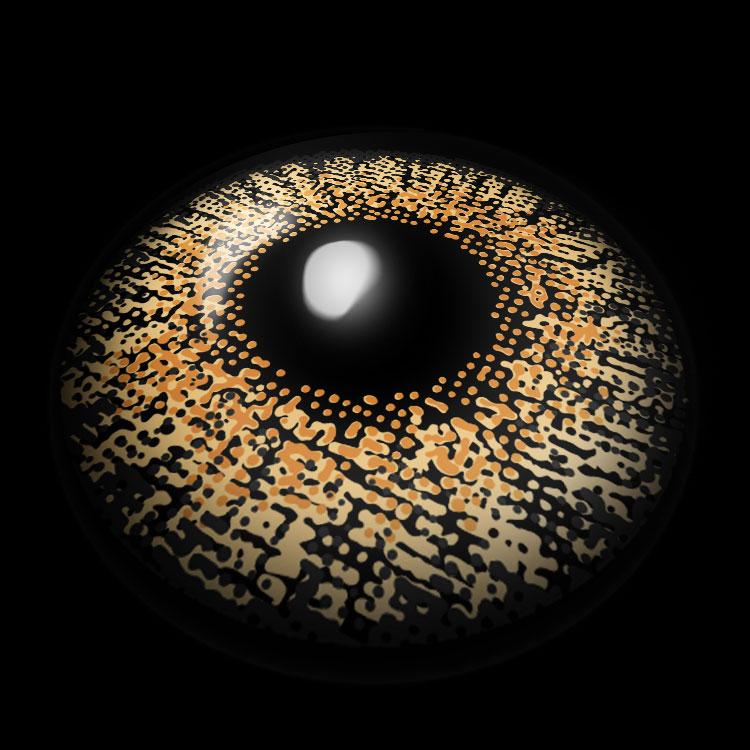 Golden Fall Brown | 6 Months