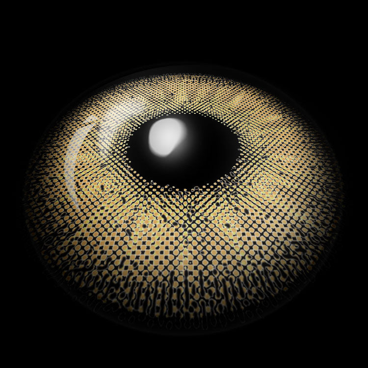 Mystic Mocha Brown | 6 Months