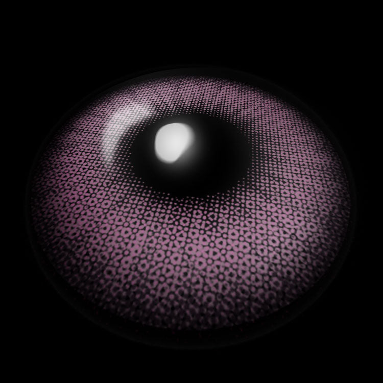 Petal Purple | 6 Month