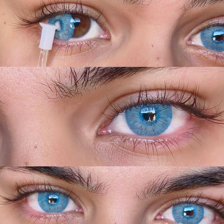 New York Blue | 1 Year