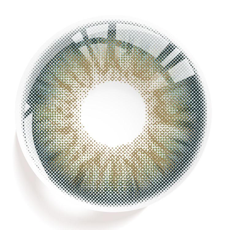 Floralis Green | 1 Year