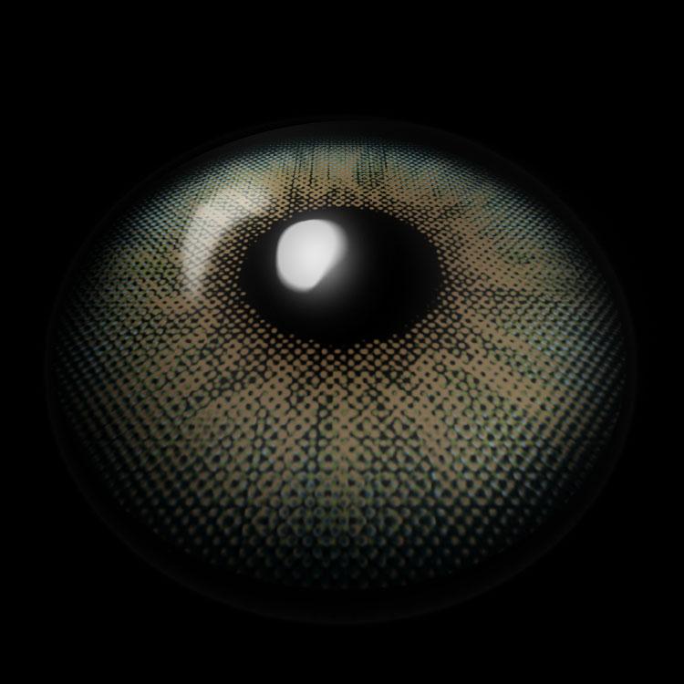 Floralis Green | 1 Year