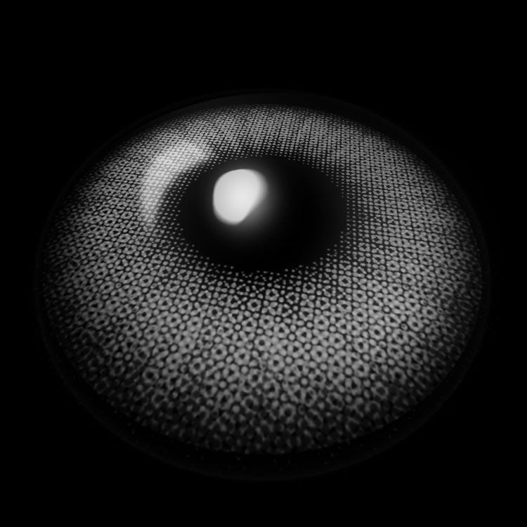 Flora Gray | 6 Months