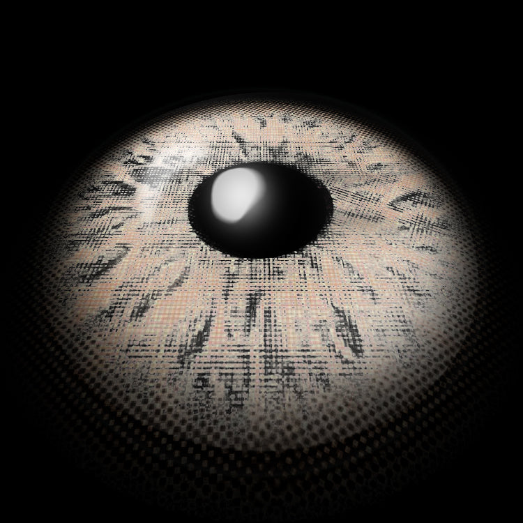 Fluffy Brown | 1 Year