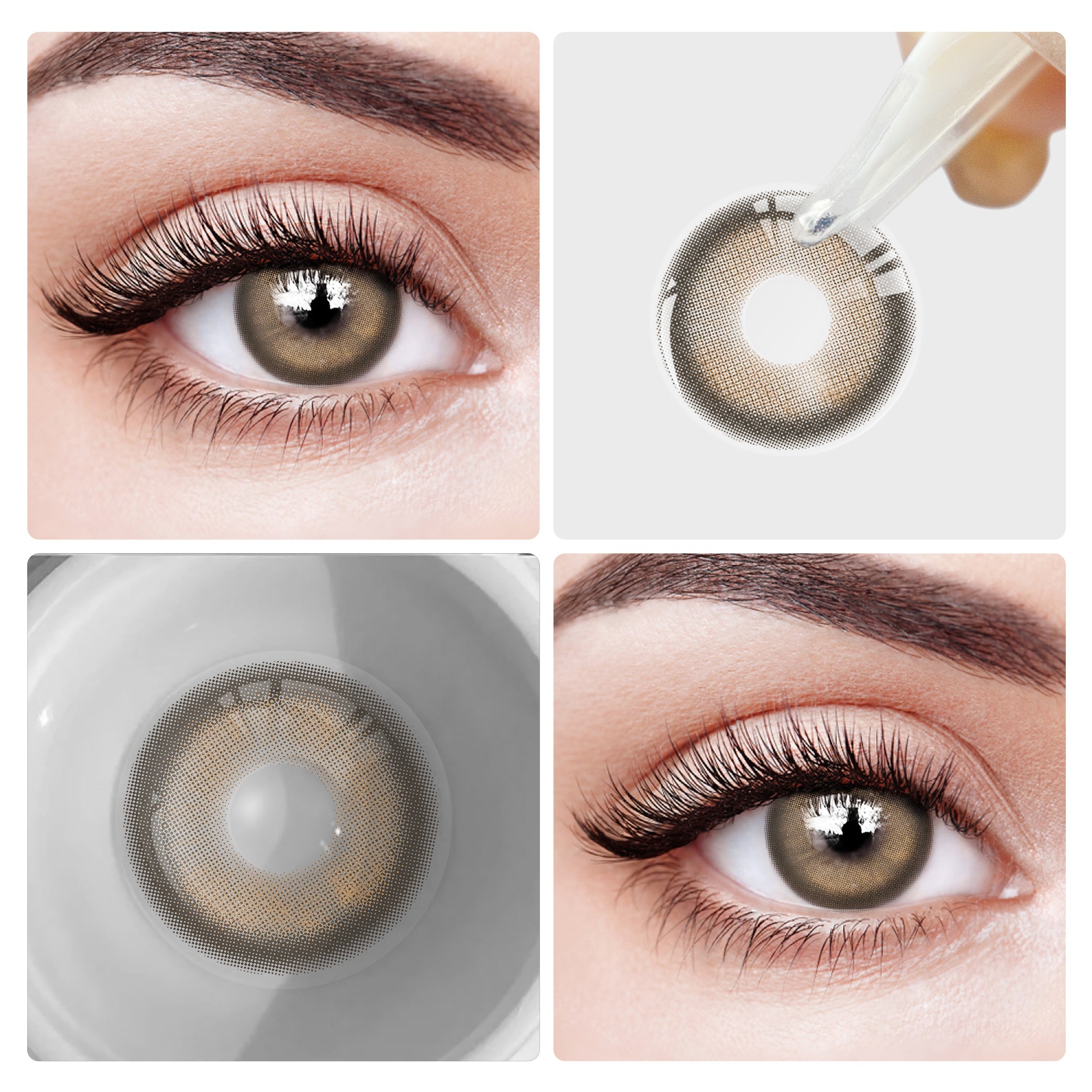 Cruller D-Brown | 6 Months