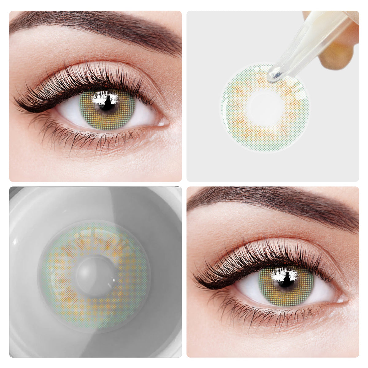 Pan-Am Green | 6 Months