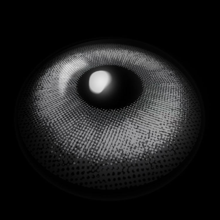 HaloPop Gray | 1 Year