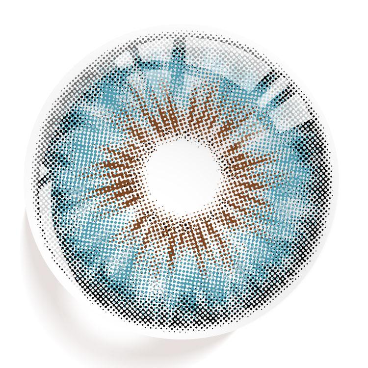 Meadow Blue | 1 Year