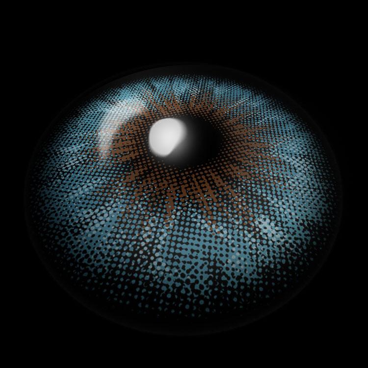 Meadow Blue | 1 Year