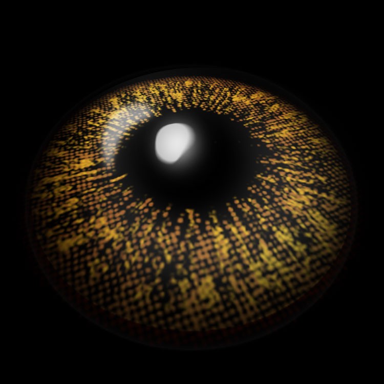 Citrus Orange | 1 Year