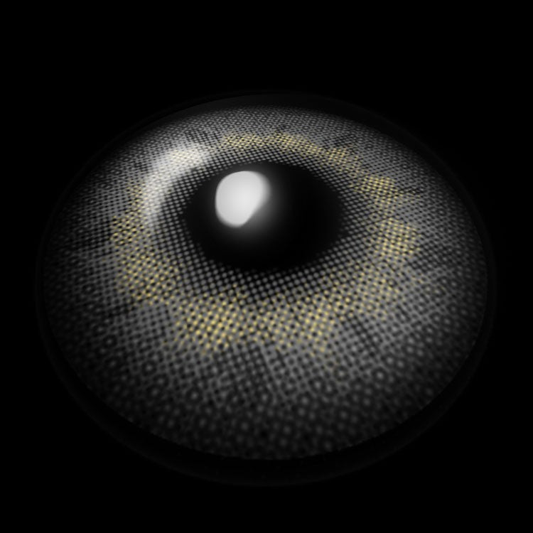 Apricity D-Gray | 1 Year