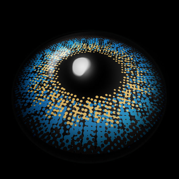 Mystic L-blue | 1 Year