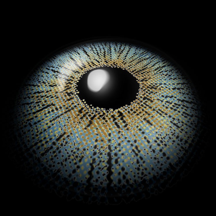 LumiRay Blue | 1 Year