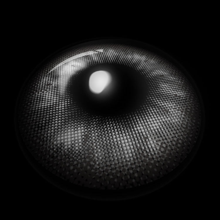 Bloom Veil Gray | 6 Months