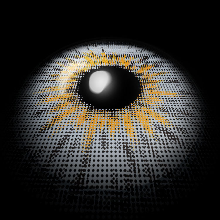 Wildness Wolf Gray-B | 6 Months